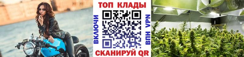 Купить наркоту Отрадная Cocaine  Alpha-PVP  Гашиш  Канабис  LSD-25  Мефедрон 